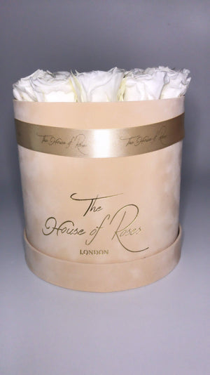 Eternal Rose Hatbox - Suede Peach - The House of Roses London