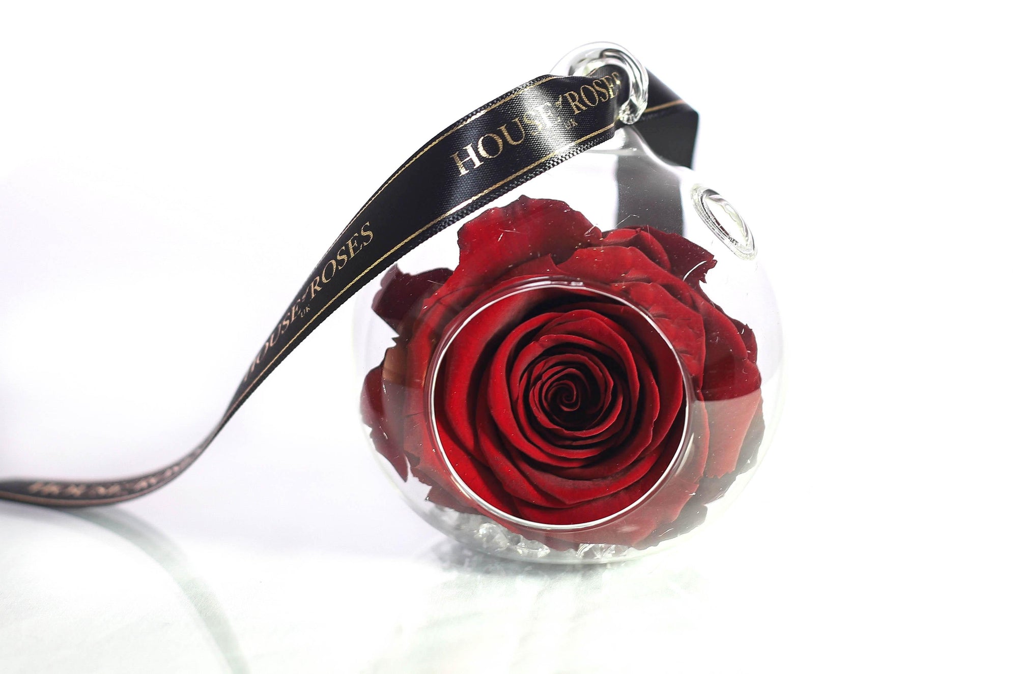 Red Eternal Rose