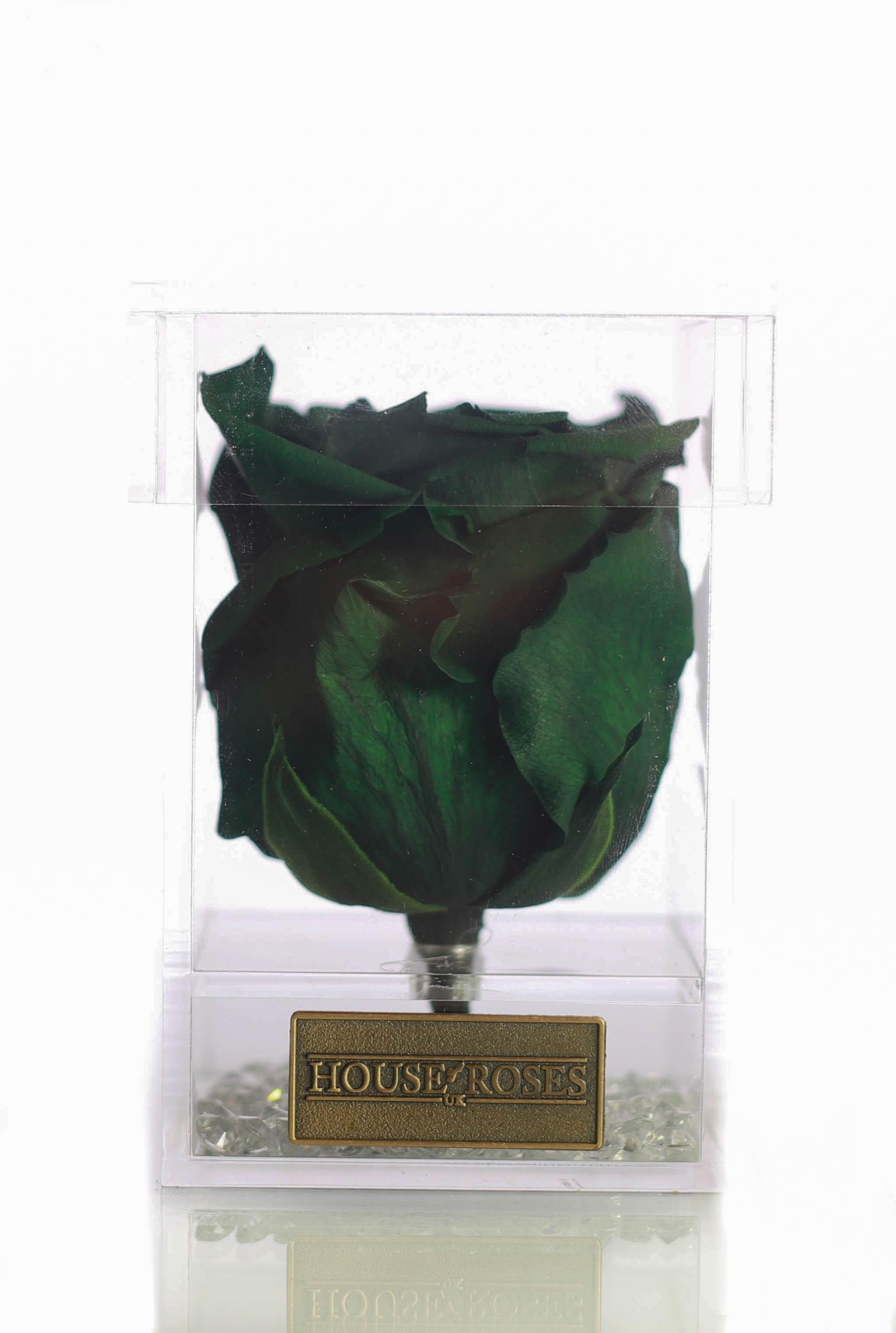 Green Eternal Rose In Cube