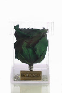 Green Eternal Rose In Cube